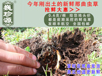 rxĲ շb 0.6/r60Ԫ/